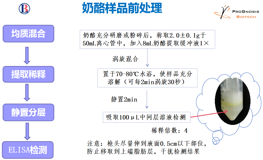 黃曲霉毒素M1的檢測(cè) 黃曲霉毒素M1的檢測(cè)